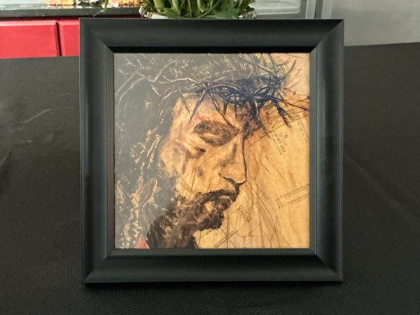 Purposed Crown of Thorns