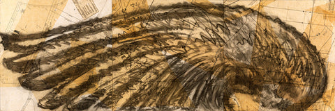 Flight Pattern