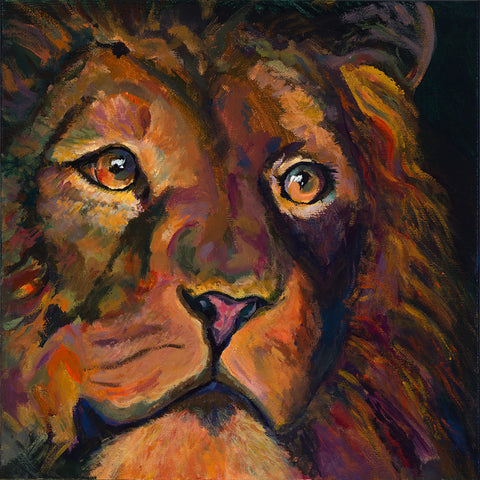 Lion Close Up